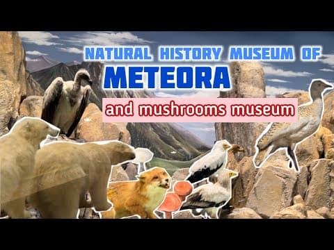 4K Natural History Museum of Meteora and Mushrooms Museum Walk 4K